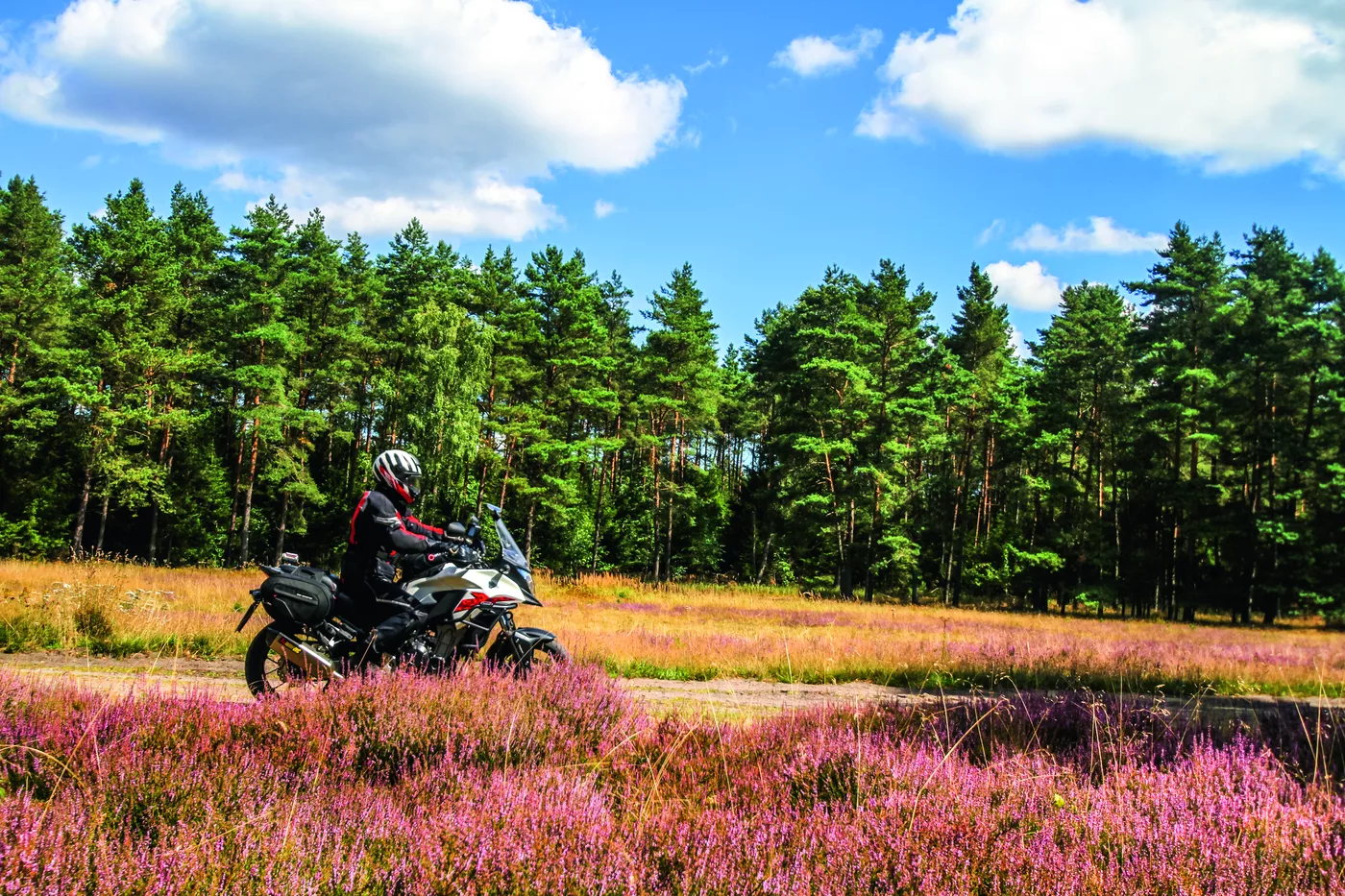 Motorrad steht in blühender lila Heide am Waldrand Motorrad steht in blühender lila Heide am Waldrand
