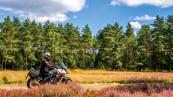 Singleroads in der Lüneburger Heide Singleroads in der Lüneburger Heide
